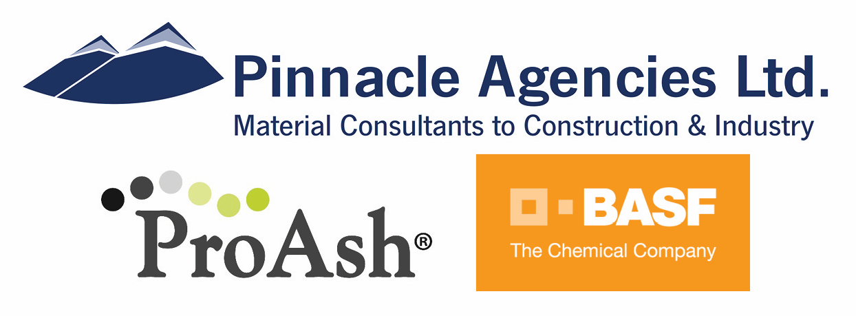 Pinancle 3 logo combo